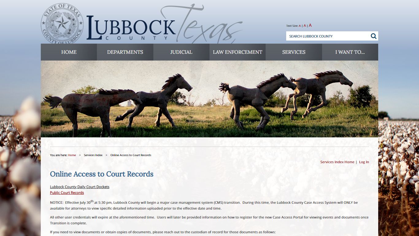 Services Index / Online Access to Court Records / Lubbock ...